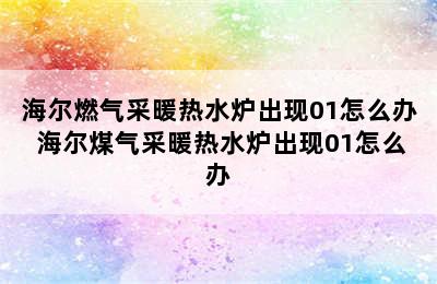 海尔燃气采暖热水炉出现01怎么办 海尔煤气采暖热水炉出现01怎么办